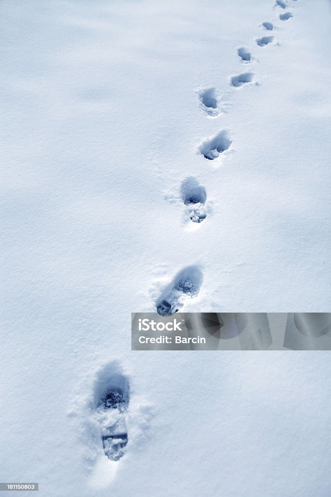 Huellas en la nieve - Foto de stock de Aire libre libre de derechos