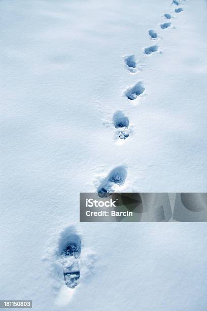 フットプリントの雪 - まぶしいのストックフォトや画像を多数ご用意 - まぶしい, アウトフォーカス, カラー画像