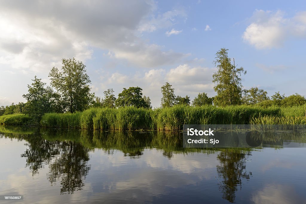 Отражение в воде перед reeds и деревья на Wieden. - Стоковые фото Без людей роялти-фри