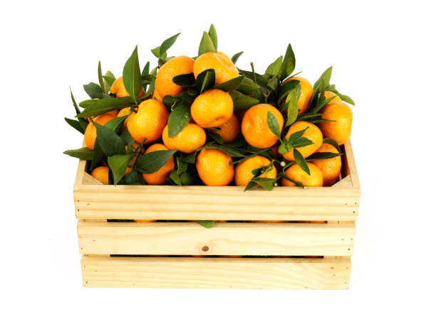 istock Tangerines in wooden crate isolated on white background. 1811521047