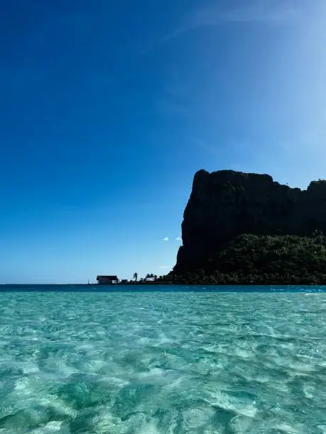 Blue water, tropical trees in Tahiti, French Polynesia, Maupiti, Rangiroa