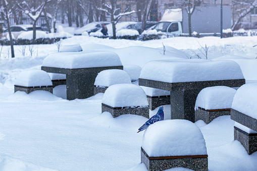 pigeon on table in city park covered with snowdrifts.