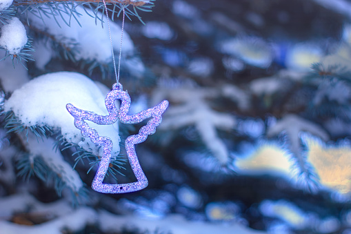 Purple Christmas angel on snow-covered branch of cyan fir tree in an evening park. Copy space.