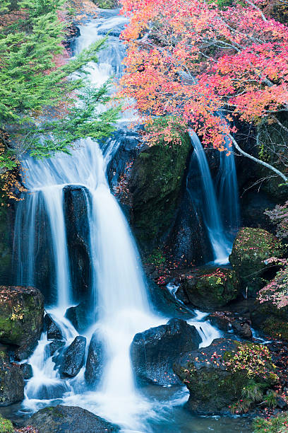 istock Japanese Waterfalls in Autumn 181153385