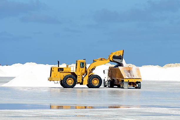 caterpillar at work on salt flat, bonaire