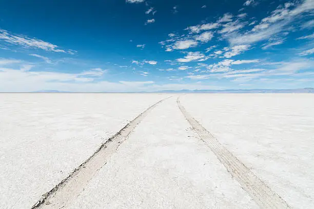 Photo of Bonneville Salt Flats SUV Car Tracks Desert