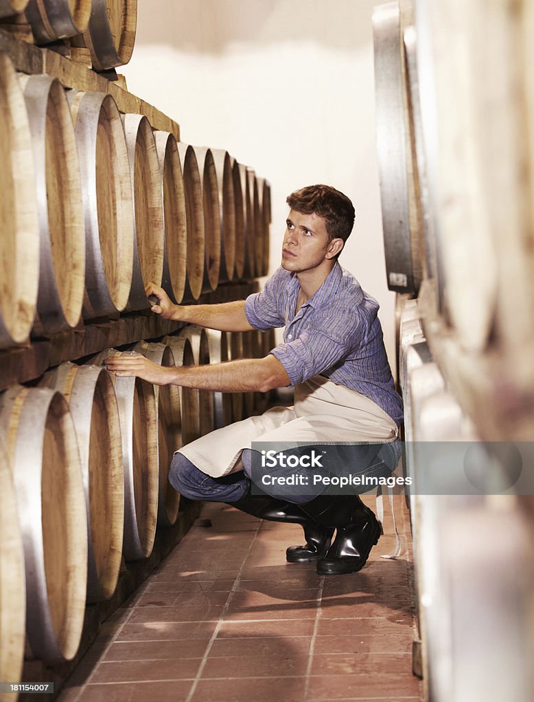 Now all we have to do is wait A young wine maker counting his wine barrels in the cellar Bottling Plant Stock Photo