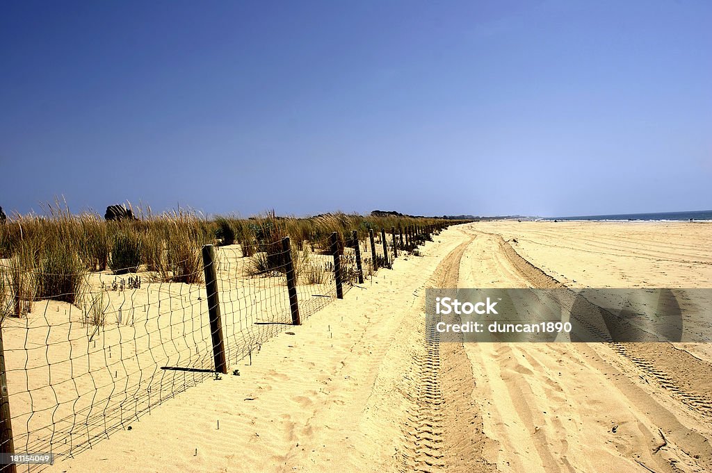 La playa - Foto de stock de 4x4 libre de derechos