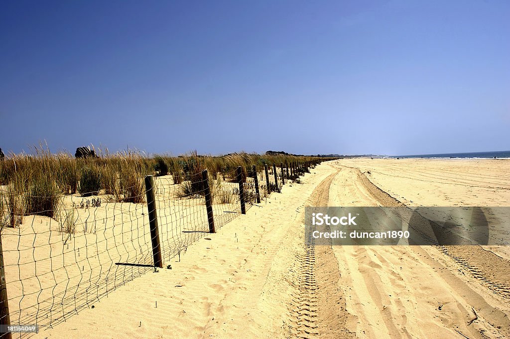 La plage - Photo de 4x4 libre de droits