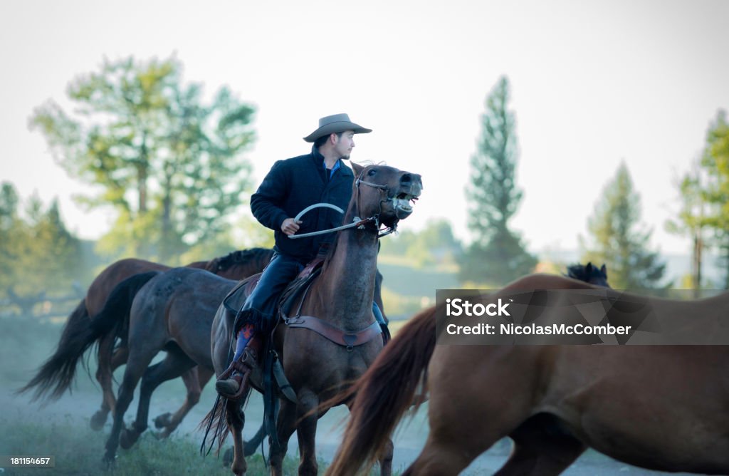 Cowboy melhores cavalos ao amanhecer - Foto de stock de Homens royalty-free
