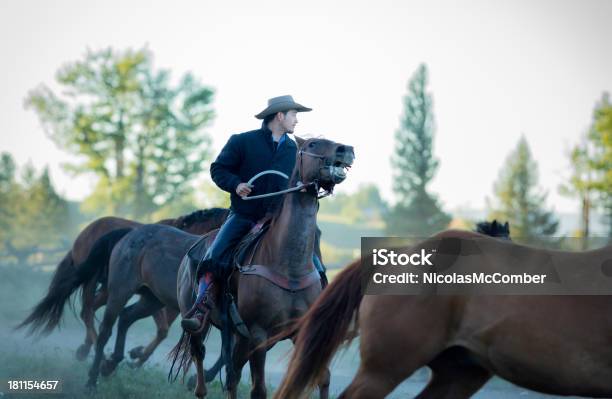 Foto de Cowboy Melhores Cavalos Ao Amanhecer e mais fotos de stock de Homens - Homens, Cavalo - Família do cavalo, Montana