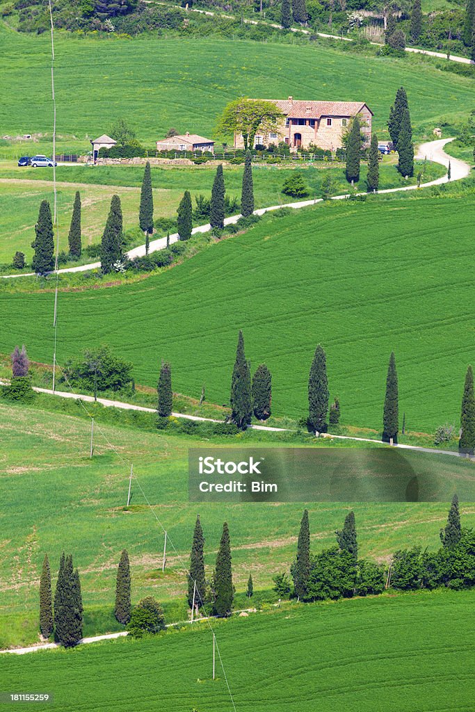 Cypress doublé Route de campagne sinueuses, toscane, Italie - Photo de Agriculture libre de droits