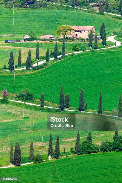 Photo libre de droit de Cypress Doublé Route De Campagne Sinueuses Toscane Italie banque d'images et plus d'images libres de droit de Agriculture