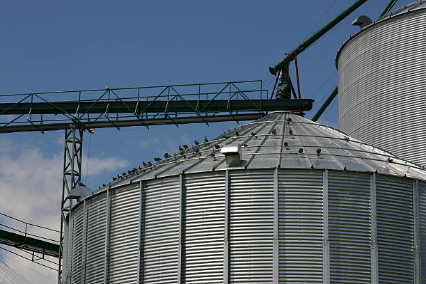 Grain Elevator stock photo