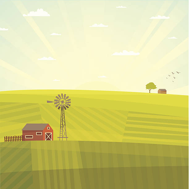 Summer field landscape Field landscape with barn rural scene illustrations stock illustrations