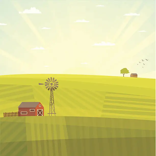 Vector illustration of Summer field landscape