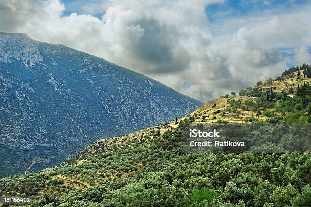 Im Delphi District Stockfoto und mehr Bilder von Anhöhe - Anhöhe, Baum, Berg