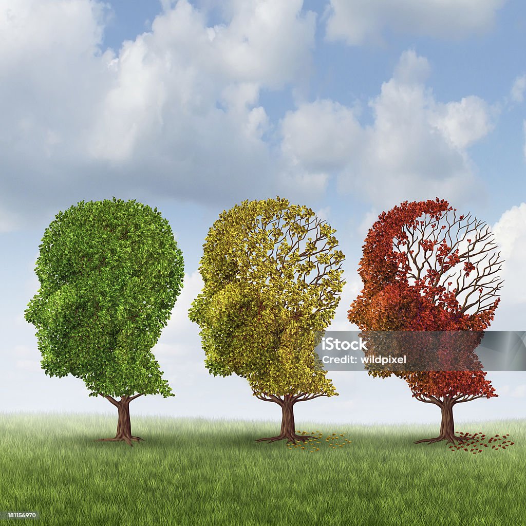 Brain Aging Brain aging and memory loss due to Dementia and Alzheimer's disease with the medical icon of a group of color changing autumn fall trees in the shape of a human head losing leaves as a loss of thoughts and intelligence function. Alzheimer's Disease Stock Photo