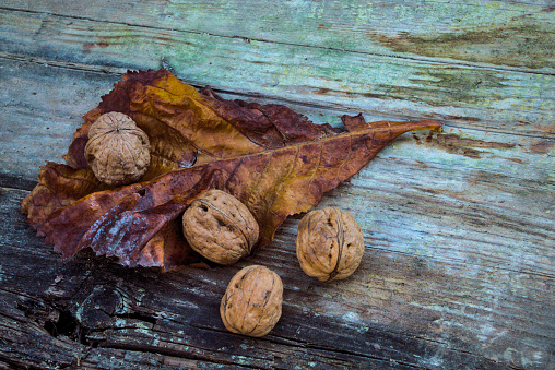 Autumn, leaves on the ground, some fruits. A still life of the Fall