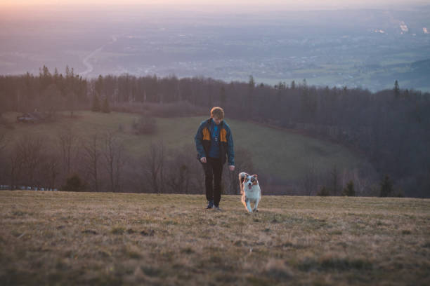 istock Young cynologist, a dog trainer trains a four-legged pet Australian Shepherd in basic commands using treats. Love between dog and human 1811586379