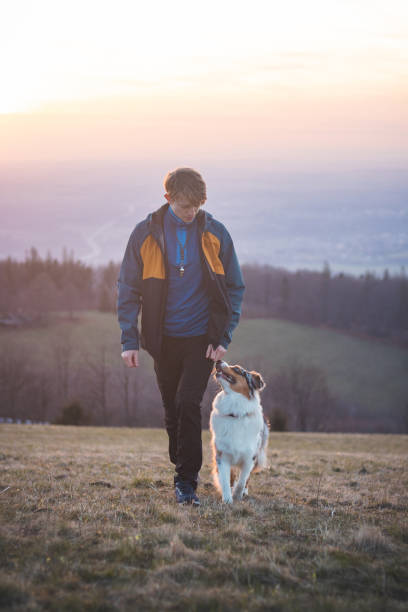 istock Young cynologist, a dog trainer trains a four-legged pet Australian Shepherd in basic commands using treats. Love between dog and human 1811586896
