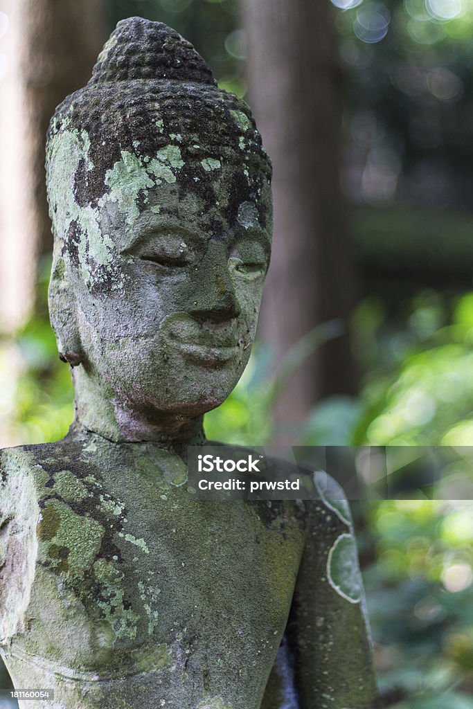 Buddha cabeça em Wat Umong Chiangmai, Tailândia - Foto de stock de Buda royalty-free