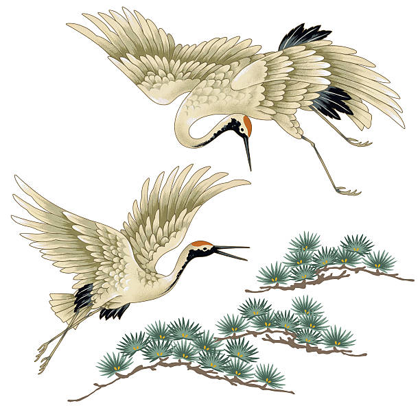 Japanese crane A Japanese crane eurasian crane stock illustrations