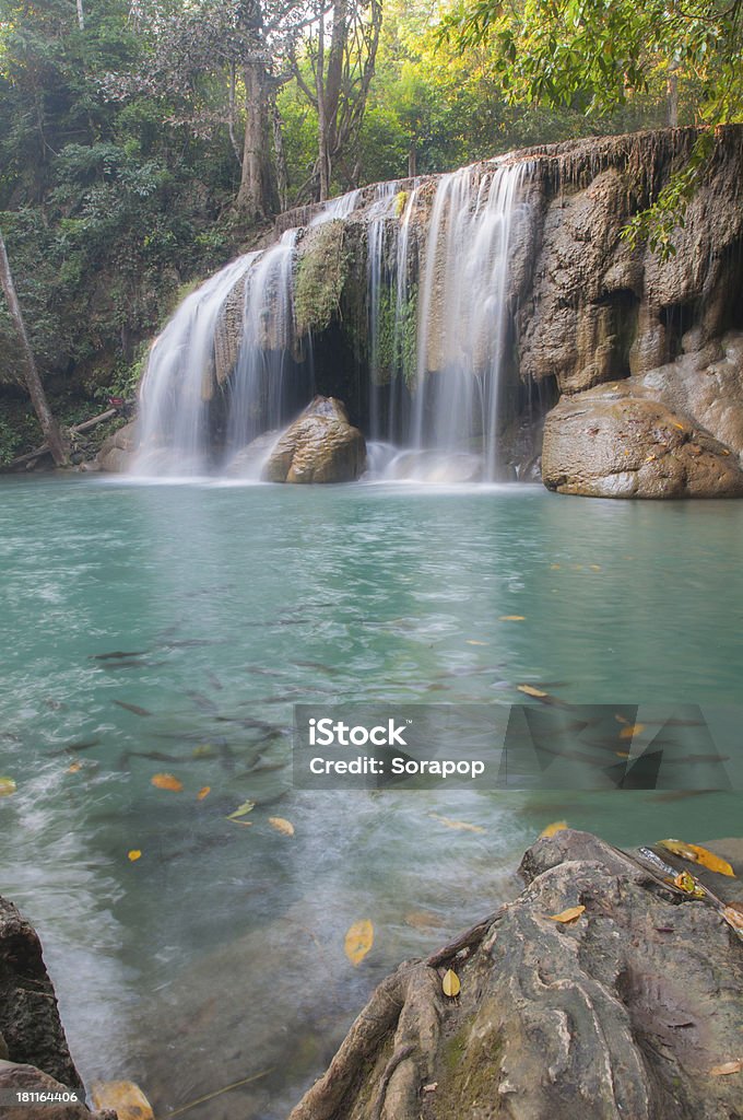 Erawan cascade à Kanchanaburi, Thaïlande - Photo de Animaux à l'état sauvage libre de droits