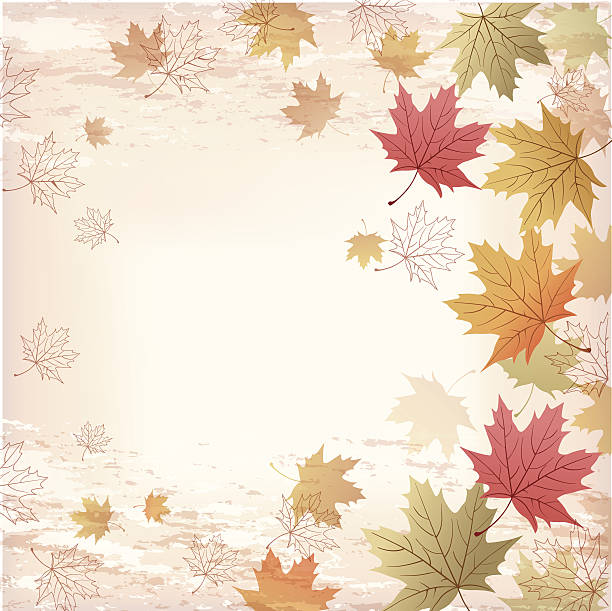 Autumn Maple leaves background vector art illustration