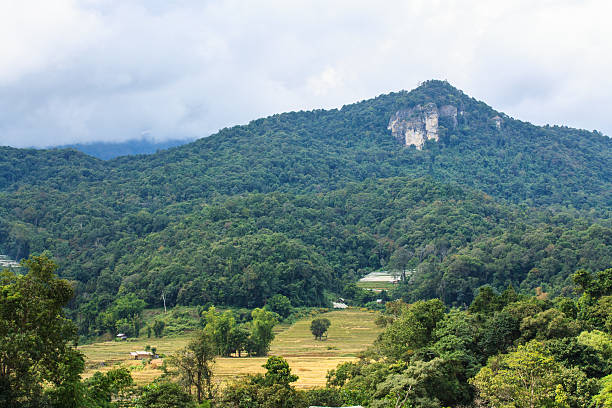 istock Doi inthanon, Maeglangluang ,Karen villages 181166889
