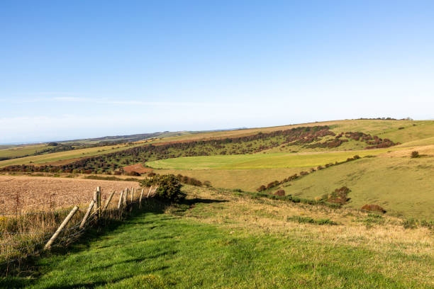 istock Looking out over fields in the South Downs near Ditchling Beacon, with a blue sky overhead 1811676350