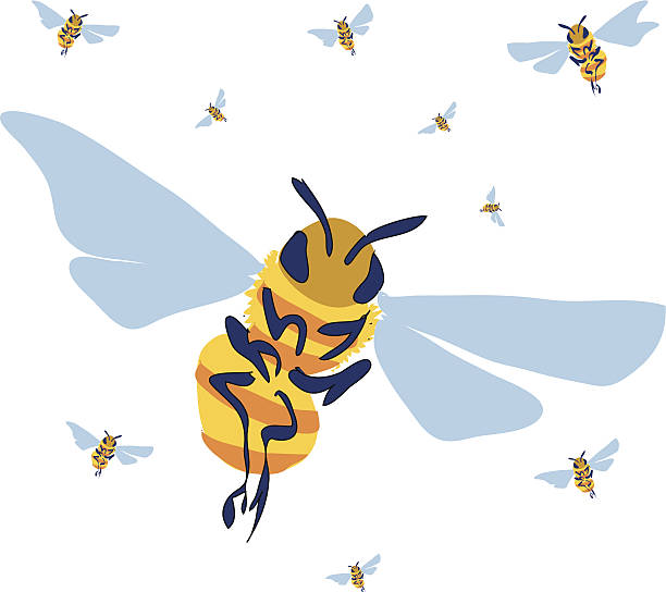 Bees - ilustración de arte vectorial