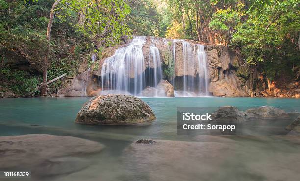 Foto de Cataratas De Erawan Em Kanchanaburi Tailândia e mais fotos de stock de Animal selvagem - Animal selvagem, Arbusto, Beleza natural - Natureza