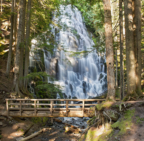 ramona falls der holzbrücke in oregon - mt hood national park stock-fotos und bilder