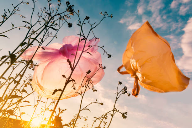 Garbage bags were thrown into the garden. Plastic pollution in nature.