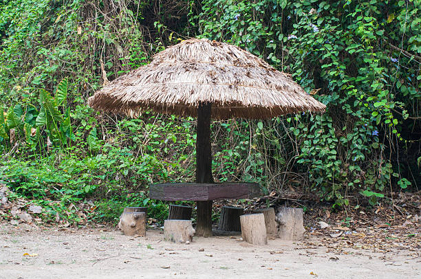istock Gazebo throng straw grass 181169814