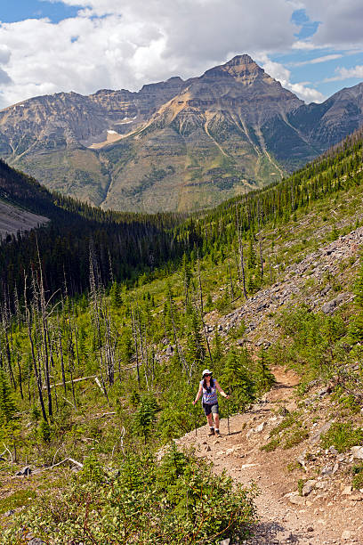istock Pausing to enjoy the view on a mountain trail 181171391