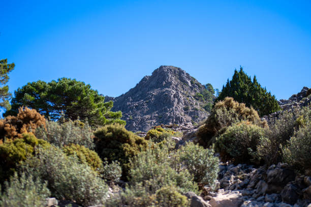 Hiking trail to Lucero peak Natural Mountains park of Tejeda, Almijara and Alhama almijara stock pictures, royalty-free photos & images