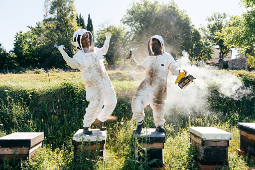 Full body of cheerful male and female beekeepers in protective costumes having fun while standing on beehives and calming bees with smoker on sunny day in apiary