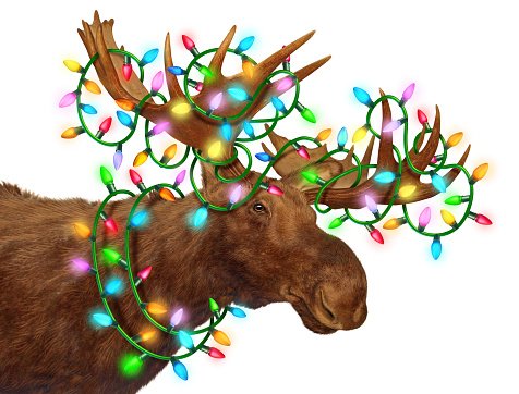 Moose With Holiday Lights as a whimsical funny northern forest animal decorated with bright glowing festive Christmas light ornaments as a Winter Nature celebration