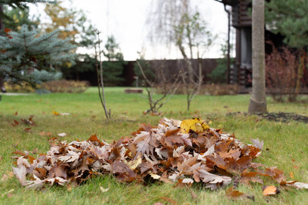 istock Autumn serenity: leaf pile in a peaceful garden 1811739808