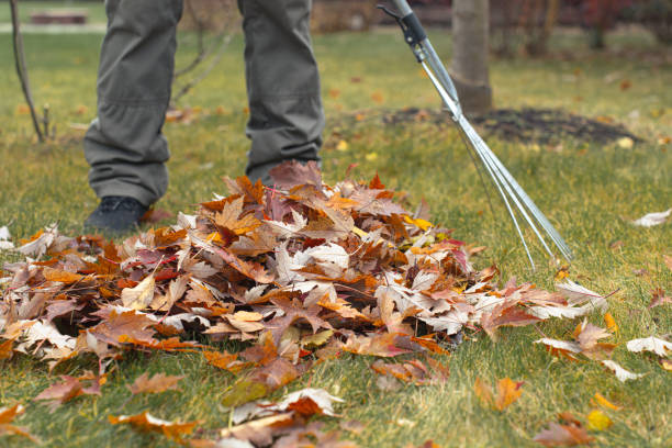 istock Cleaning up fallen leaves in the garden 1811740327