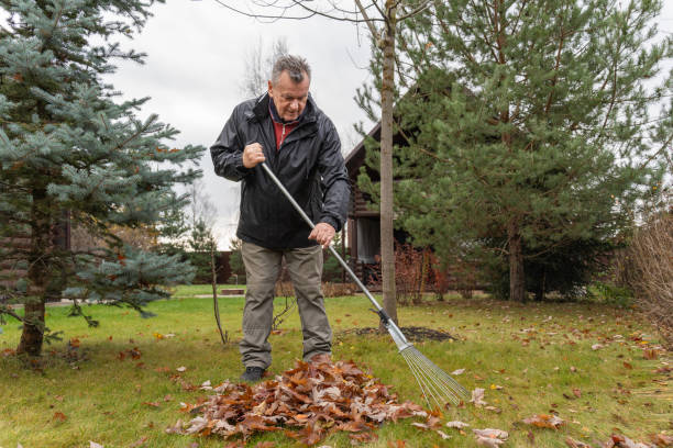 istock Seasonal yard work: raking autumn leaves 1811741326