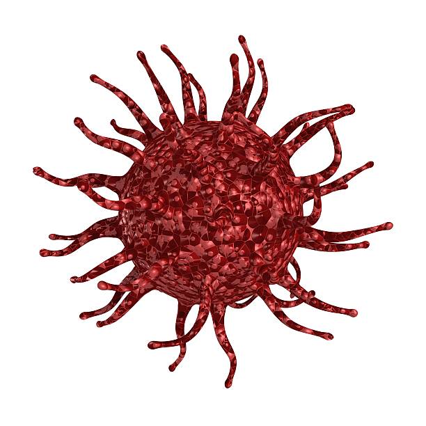 czerwony wirus komórek zbadany na białym tle - virus molecular structure healthcare and medicine russian influenza zdjęcia i obrazy z banku zdjęć
