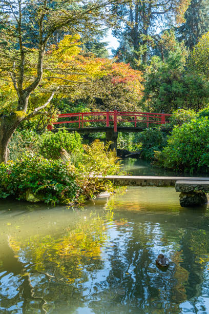 istock Kubota Gardens Bridge 3 1811762160