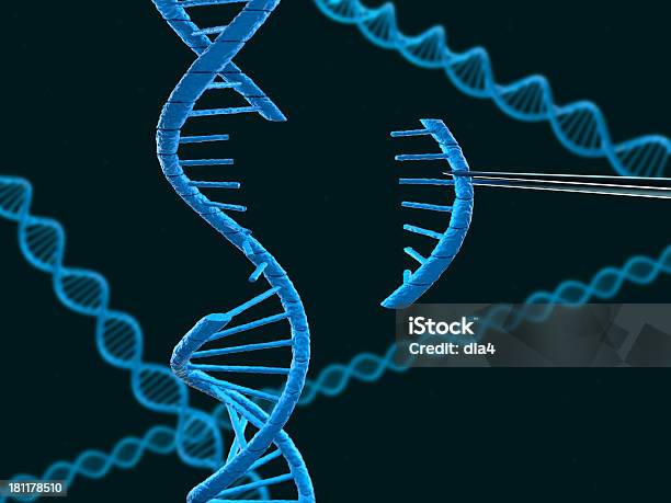 Изменение Днк — стоковые фотографии и другие картинки Щипцы - Рабочий инструмент - Щипцы - Рабочий инструмент, Дезоксирибонуклеиновая кислота, Биотехнология
