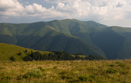 Summer in Borzhava range in Carpathian mountains, Ukraine