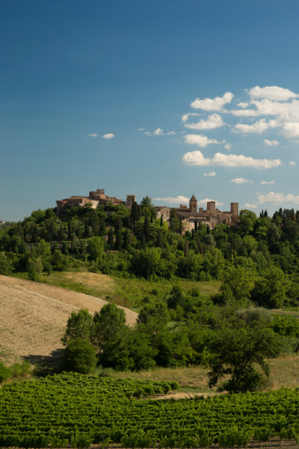 Portrait view of the landscape surrounding the hill-top town of Certaldo Alto in Tuscany, Italy. Vineyards are visible in the foreground under a blue sky with some clouds.