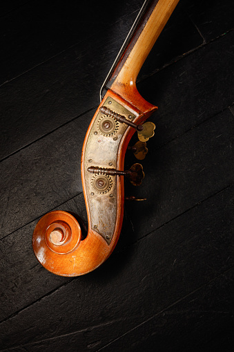 Violin strings closeup. Violin isolated on white background.