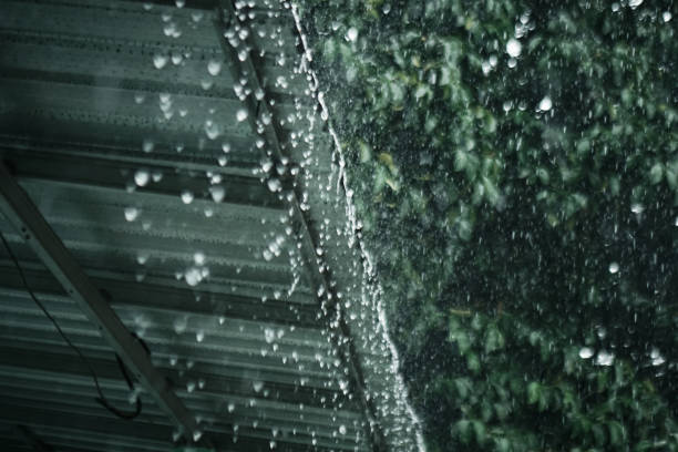 Rainwater falls from the light steel roof